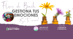 Banner de la categoría FLORES DE BACH