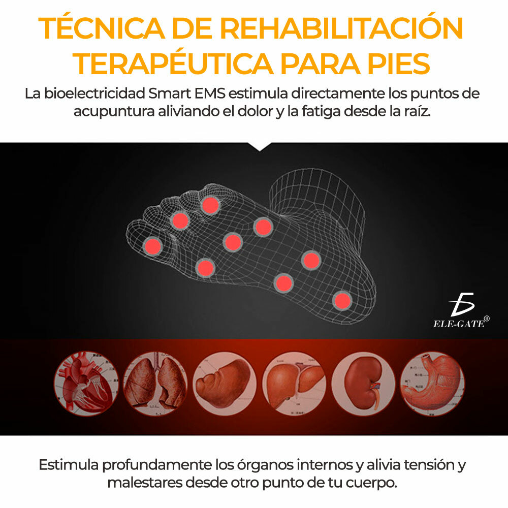 Masajeador de Pies Estimulador Muscular Eléctrico 19 Niveles de Intens –  Xhobbies