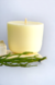 Vela Refil Flor de Figo - Belize Candles