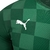 Camisa Palmeiras I 21/22 Verde - Puma - Masculino Torcedor - Estilo Boleiro