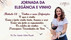 Curso para Iniciantes no Universo dos Vinhos na internet