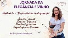 Curso para Iniciantes no Universo dos Vinhos - Estação do Vinho PG | Vinhos PG | Delivery de Vinhos e Espumantes