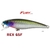 ISCA FURY FISHING REX 65F (FLOATING) na internet