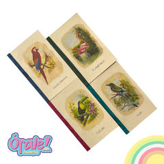 Cuaderno Mexicano Aves Figura Grande