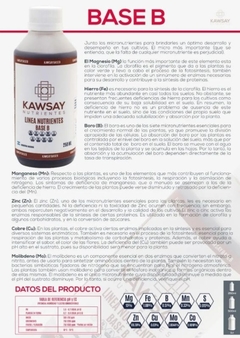 Base B 5 Litros Kawsay Nutrientes - comprar online