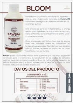 Bloom 5 Litros Kawsay Nutrientes - comprar online