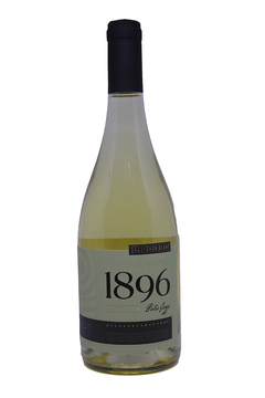 VINHO GAZZARO LINHA 1896 SAUVIGNON BLANC