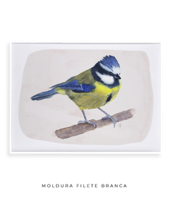 Quadro Decorativo Pássaro Chapim-Azul II na internet