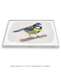 Quadro Decorativo Pássaro Chapim-Azul II - Betania Sensini | Arte e Aquarela