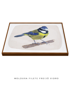Quadro Decorativo Pássaro Chapim-Azul II - comprar online