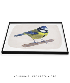 Quadro Decorativo Pássaro Chapim-Azul II - Betania Sensini | Arte e Aquarela