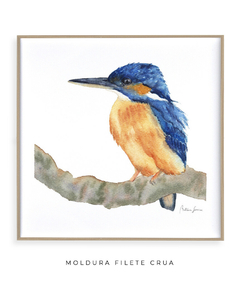 Quadro Decorativo Pássaro em Aquarela Martim Pescador - loja online