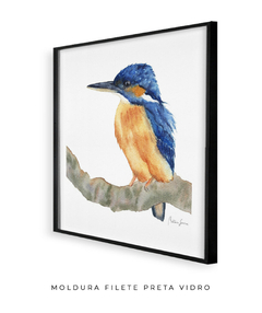 Quadro Decorativo Pássaro em Aquarela Martim Pescador - Betania Sensini | Arte e Aquarela