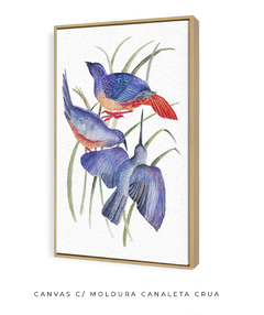 Quadro Decorativo Três Pássaros Azuis em Aquarela - Betania Sensini | Arte e Aquarela