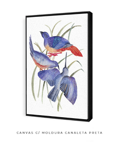 Imagem do Quadro Decorativo Três Pássaros Azuis em Aquarela