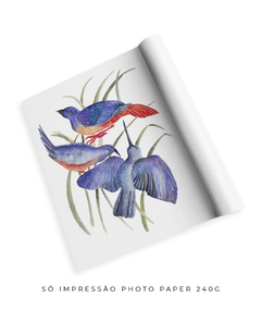 Quadro Decorativo Três Pássaros Azuis em Aquarela na internet