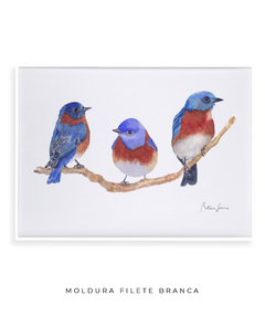 Quadro Decorativo Trio Pássaros Azuis na internet