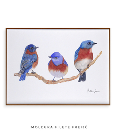 Quadro Decorativo Trio Pássaros Azuis