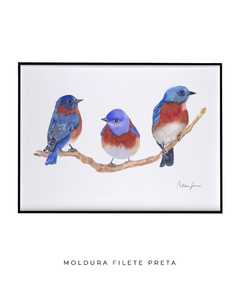 Quadro Decorativo Trio Pássaros Azuis na internet