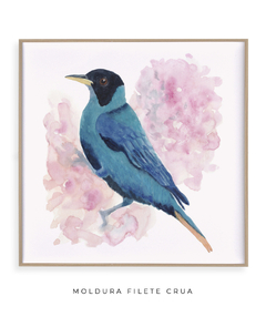 Quadro Pássaro Azul e Fundo Rosa - loja online