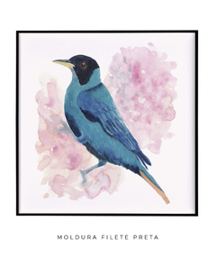 Quadro Pássaro Azul e Fundo Rosa - Betania Sensini | Arte e Aquarela