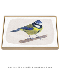 Quadro Decorativo Pássaro Chapim-Azul II - loja online