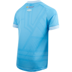 Camiseta Oficial Grêmio - comprar online