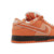 Concepts x Nike SB Dunk Low 'Orange Lobster' Special Box