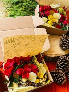 BOX ESPECIAL DE NATAL - comprar online