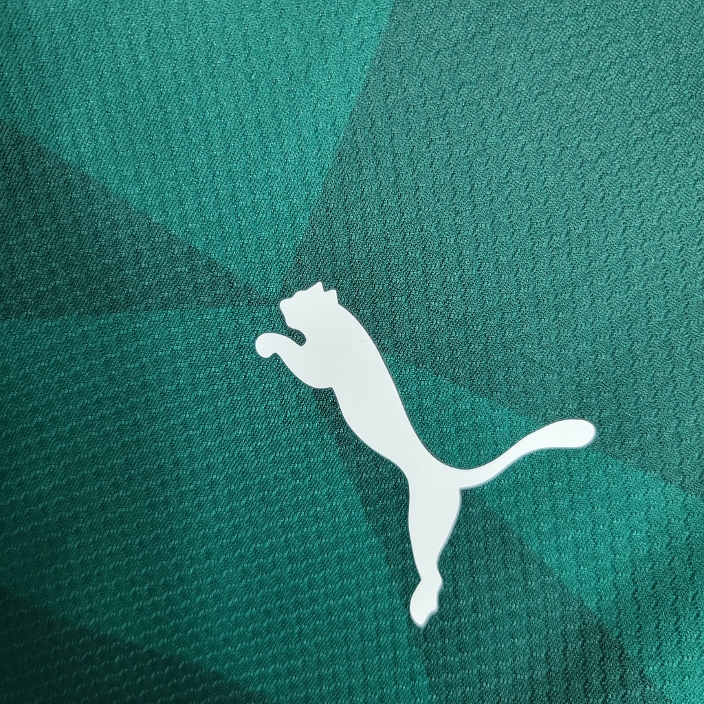 Camisa Palmeiras Pré-Jogo Branca 23/24 Puma Masculina Compre Agora!