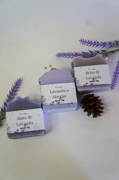 Kit Essential Lavenders