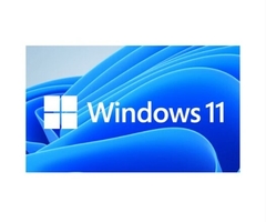 Licença Windows 11 Professional OEM