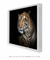 Quadro Decorativo Tigre - loja online