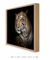 Quadro Decorativo Tigre