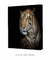 Quadro Decorativo Tigre - loja online