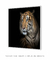 Imagem do Quadro Decorativo Tigre