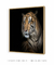 Quadro Decorativo Tigre