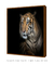 Quadro Decorativo Tigre - comprar online