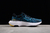 Nike ZoomX Infinity Run FK2 en internet