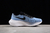 Nike Air Zoom 5 en internet