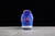 Air Jordan 4 "Florida Gators" en internet