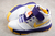 Nike Kobe 2 Protro - comprar online