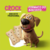 Quatree Snacks Crock Biscoito Tradicional Para Cachorros 400g na internet