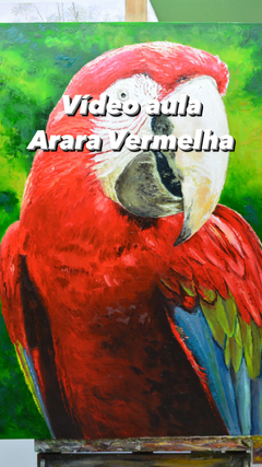 Imagem do Video aula on-line diversas