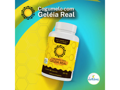 COGUMELO COM GELEIA REAL 90CAPS 300MG - NATTUBRAS - Natu Maria Store