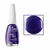 ESM COLORAMA UP ROXO METAVERSO