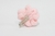 Hebilla tic tac con flor tejida a crochet Giovanna en internet