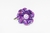 Hebilla tic tac con flor tejida a crochet Giovanna