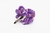 Hebilla tic tac con flor tejida a crochet Giovanna en internet