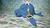 Imagen de Cubo didáctico sensorial La ballena Lola - tejido a crochet